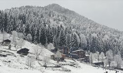 Yurdun bazı kesimlerinde kar etkili oldu