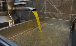 Zeytinyağı fiyatları belli oldu