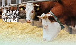 Denizli Büyükşehir üreticilerin yanında