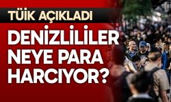 Denizlililer neye para harcıyor?