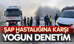 Şap hastalığına karşı yoğun denetim