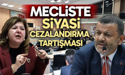Mecliste siyasi cezalandırma tartışması