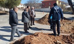 Bekilli’de altyapı çalışmaları sürüyor! Başkan Demir sahada…