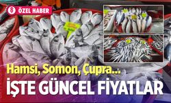 Denizli Balık Fiyatları 2026: Hamsi, Somon, Çupra kaç TL?