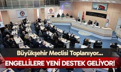 Denizli Büyükşehir Belediye Meclisi'nden engellilere yeni destek...