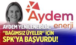 AYDEM Yenilenebilir; "Bağımsız üyeler" için SPK'ya başvurdu!