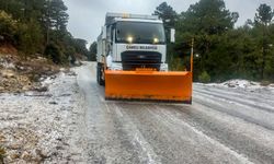 Çameli'de tuzlama aracı görevde