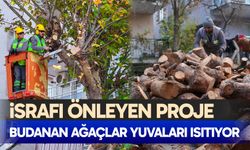 Budanan ağaçlar yuvaları ısıtıyor
