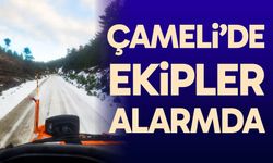 Çameli'de ekipler alarmda