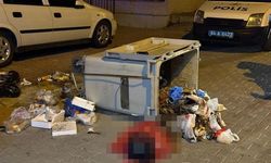 Çöp konteynerinde yeni doğmuş bebek cesedi bulundu