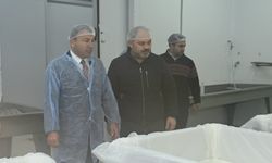 Tarımsal yatırımlar yerinde incelendi