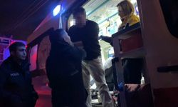 Alkollü sürücü polislerden polis istedi