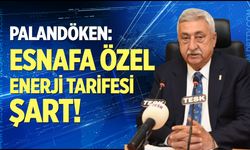 Palandöken: "Esnafa özel enerji tarifesi şart"