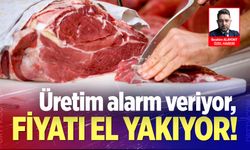 Denizli’de et fiyatları el yakıyor… 1 kg kıyma kaç lira? 1 kg kuşbaşı kaç TL?