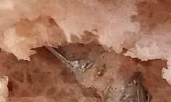 Bir Lokma Felaket Olabilirdi! Ekmeğin İçinden Çıkan Şok Etti