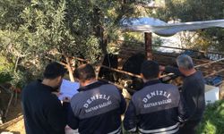 Hayvancılık desteklemeleri için sahadalar