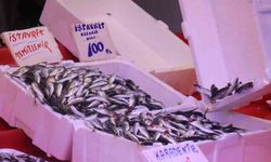 Fiyatlar dibi gördü