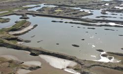 İzmir'de yağışlar barajlara nefes aldırdı