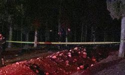 Kayıp olarak aranıyordu! ormanda ölü bulundu