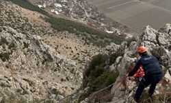 Dağda mahsur kalan keçi ekipler tarafından kurtarıldı