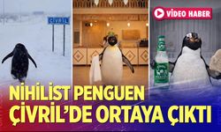 Bu kez Çivril'de ortaya çıktı