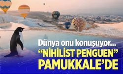 “Nihilist penguen” Pamukkale’de