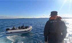 43 düzensiz göçmen yakalandı