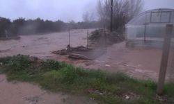 Sağanak yağış tarım arazilerini sular altında bıraktı