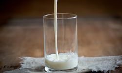 Kasım Ayında Sofraların Dengesi Değişti