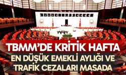 TBMM’de Kritik Hafta: En düşük emekli aylığı ve trafik cezaları masada