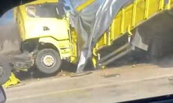 Limon yükü tır şarampole devrildi