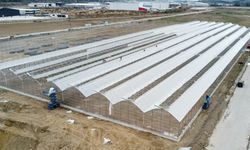 TKDK’dan 2025’te 61 projeye 123 milyon TL hibe