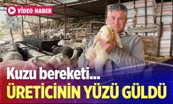 Buldan'da üreticinin yüzü güldü