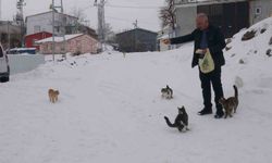 Sokak hayvanları için köyü terk etmiyor