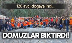 Domuzlar bıktırdı! Güney'de 120 avcı doğaya indi...