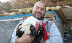 Mermer fabrikasını tavuk çiftliği yaptı!