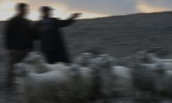 Uşak’ta koyunlarını otlatmaya giden çoban ölü bulundu