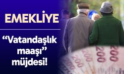 Vatandaşlık maaşı: Emekliler de yararlanacak! Peki uygulama ne zaman başlayacak, kim kaç para alacak?