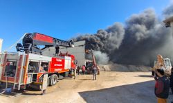 Aydın Didim'de sanayi sitesinde yangın!