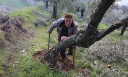 Aydın'da tek bacağıyla bir asırlık yaşam mücadelesi...
