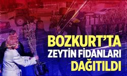 Bozkurt’ta Zeytin Fidanları Dağıtıldı