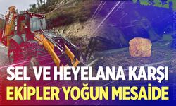 Çameli’nde sel ve heyelana karşı yoğun mesai...