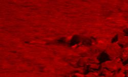 Çanakkale’de karaya vurmuş erkek cesedi bulundu