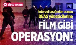 DEAŞ'ın İnterpol tarafından aranan sözde 7 yöneticisi yakalandı