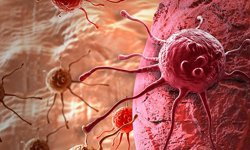 Kanserde kişiselleştirilmiş tedavi dönemi