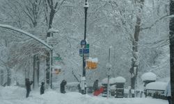 ABD’de kar fırtınası hayatı durma noktasına getirdi