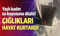 Çığlıkları Hayat Kurtardı!
