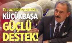 Milletvekili Şahin Tin, projenin ayrıntılarını açıkladı