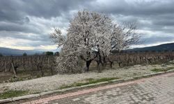 Bahar renkleriyle geliyor