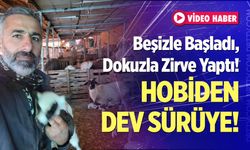 Hobiden Dev Sürüye!